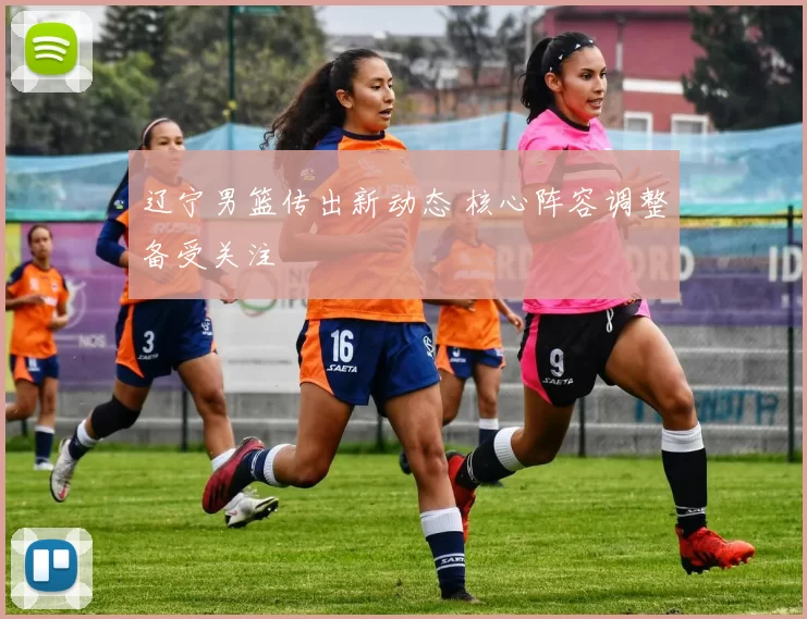 辽宁男篮传出新动态 核心阵容调整备受关注