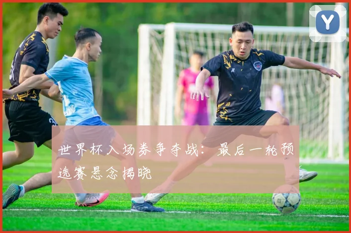 世界杯入场券争夺战：最后一轮预选赛悬念揭晓