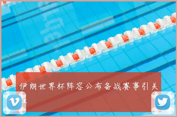 伊朗世界杯阵容公布备战赛事引关注